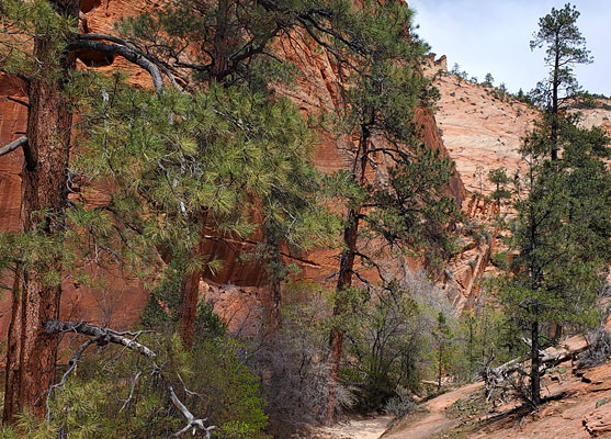 Lower end of Petroglyph Canyon