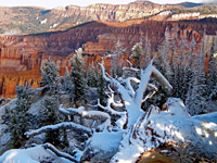 Overlook near Alpine Pond