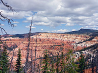 Red rock formations