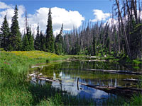 Alpine Pond Trail