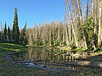 Alpine Pond