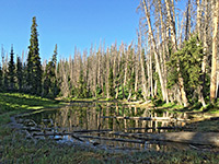 Alpine Pond