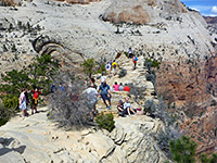 Summit of Angels Landing