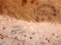 Bison pictographs