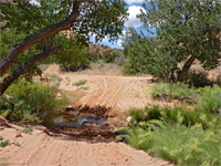 Stream crossing