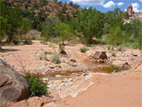 Stream and boulders