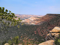 Red rocks