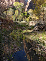 Birch Creek