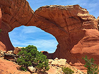 Tree below Broken Arch