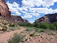 Buckhorn Wash canyon