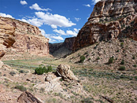 Road alongside Buckhorn Wash