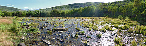 Dispersed spring - source of the water at Cascade Springs