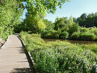 Boardwalk trail