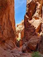 Catstair Canyon