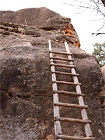 Ladder