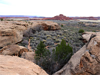 Cave Spring Trail