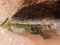 Cave Spring