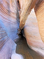 Log and pool