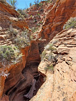 Above the narrows