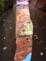 Reflections on a pool