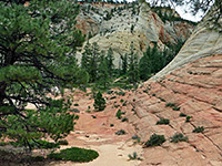 Base of Checkerboard Mesa