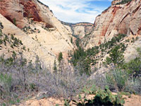 View north from the saddle