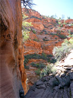 Navajo sandstone
