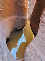 Muddy pool