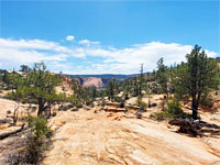 The view south