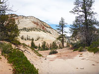 Sandy streambed
