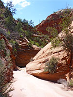 Rocky creekbed
