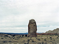 photograph
