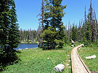 Boardwalk near Cliff Lake