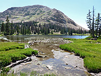 Edge of Clyde Lake