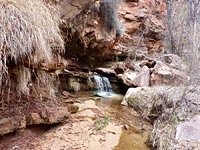 Lower end of the narrows