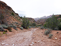 Scroggins Wash