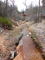 Grassy stream