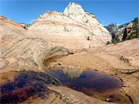 Brown pools