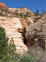 Below the falls