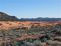 Sand and sagebrush