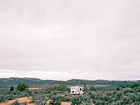 Sagebrush near the dunes