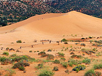 Coral Pink Sand Dunes State Park