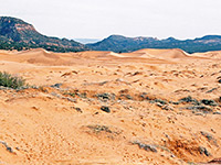 Coral Pink Sand Dunes State Park