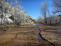 Cottonwood Creek - north