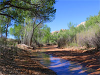 Cottonwood Creek