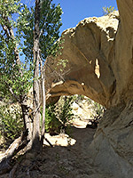 Covered Wagon Natural Bridge