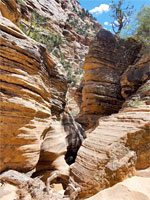 Narrows