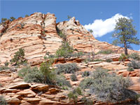 Sloping cliffs