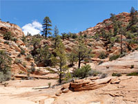 Reddish sandstone