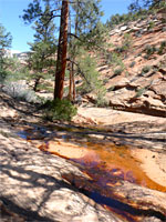 Shallow water